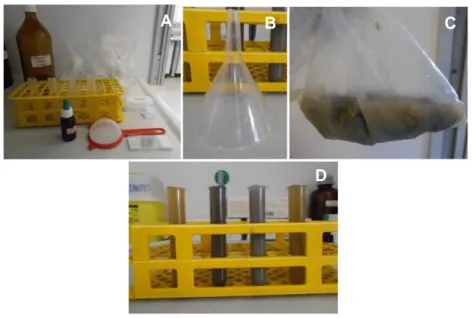 Figura  4  -  Flutuação  de  Willis;  A  e  B)  material  utilizado  (o  Azul-de-Metileno  não  faz  parte  desta  técnica,  mas  é  utilizado  na  sedimentação  em  meio  saturado);  C)  homogeneização  das  fezes  com  solução saturada de açúcar directam