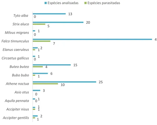 Gráfico 6 - Análises coprológicas positivas em relação à ordem (frequência/percentagem)