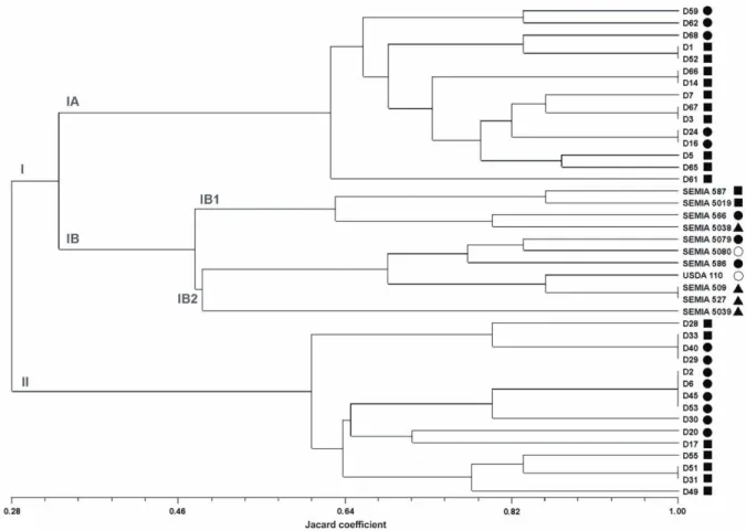 Figure  1.  UPGMA-dendrogram  derived  from  AFLP  fingerprints  of  reference  strains  and  soybean  bradyrhizobia