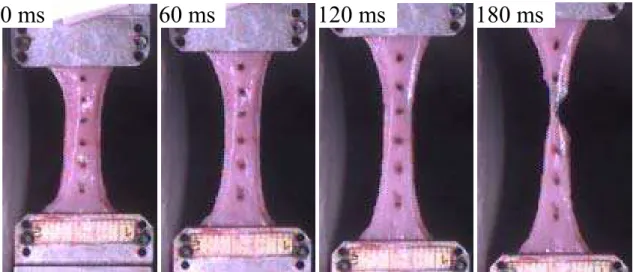 Figure 4.2: Traction test performed on uterine tissue samples, performed by Manoogian
