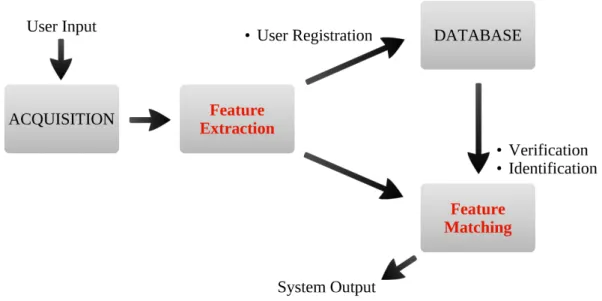 Figure 1.2: Typical scheme of a biometric system.
