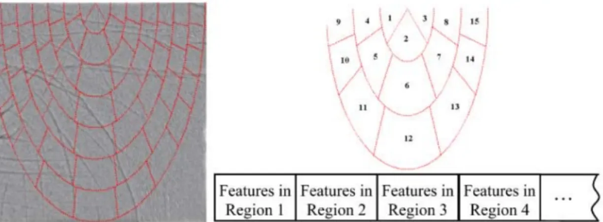 Figure 2.2: Elliptical coordinate system. In a), an elliptical coordinate system is defined inside a region of interest