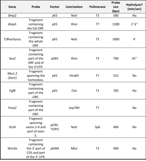 Table II. 2 In situ hybridization probes used in this chapter. 