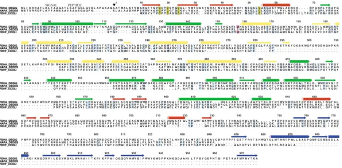 Figure 1. Amino Acid Sequence Alignment of the DgW-FDH Large Subunit with Its Structural Neighbors