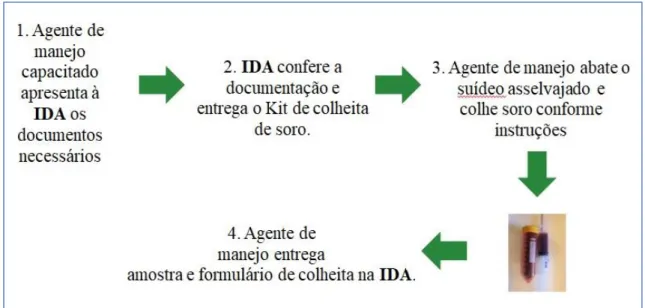 Figura 1. Esquema de procedimentos efetuados pelo AMP para cumprimento da IN DSA 001/2017