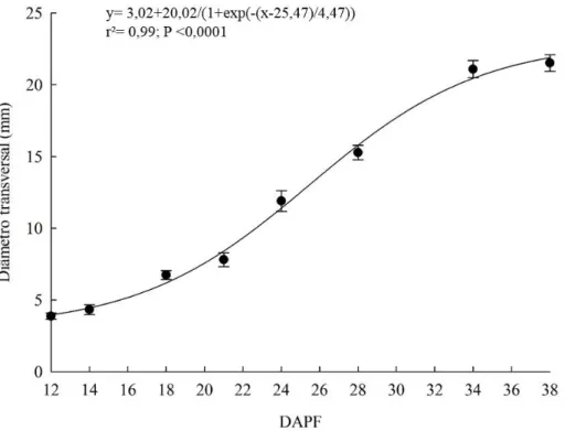 Figura 1. Diâmetro transversal de frutos de jabuticabeira (Plinia peruviana) sob as condições de cultivo da  Depressão Central do RS, 12 a 38 dias após a plena floração (DAPF)