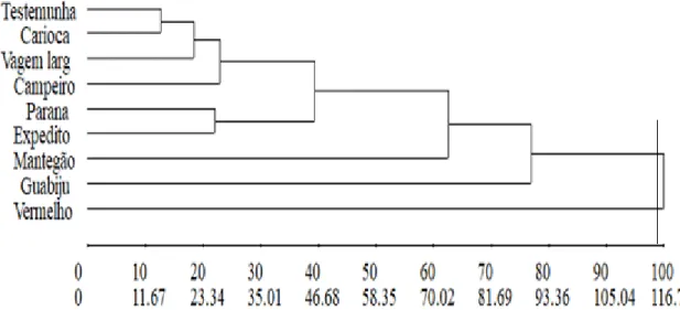 Figura  3.  Dendrograma  obtido  por  meio  de  dados  quantitativos  com  a  distância  generalizada  de  Mahalanobis  e  pelo método de agrupamento UPGMA, dos acessos de feijão