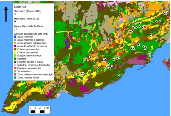 Figura 14 - Mapa de distribuição da Coruja-do-mato no PNArr sobre a COS 2007