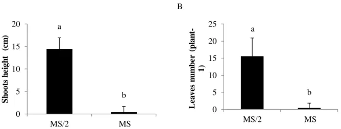 Figure 2: Height of shoots and number of leaves of Desmodium incanum acclimatized plants under different  nutritional status in in vitro culture
