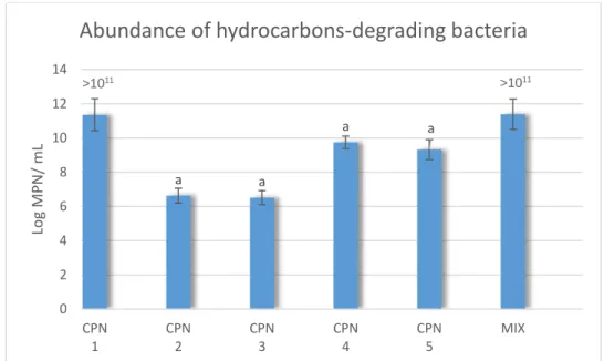 Figure  9  -  Abundance  of  hydrocarbons--degrading  bacteria  for  each  of  the  isolated  bacterial  strains,  (CPN  1,  2,  3,  4,  5)  and  for  the  mixture  of  the  5  bacterial  strains  (MIX)  (mean  values,  standard deviations, n=3) evaluated 