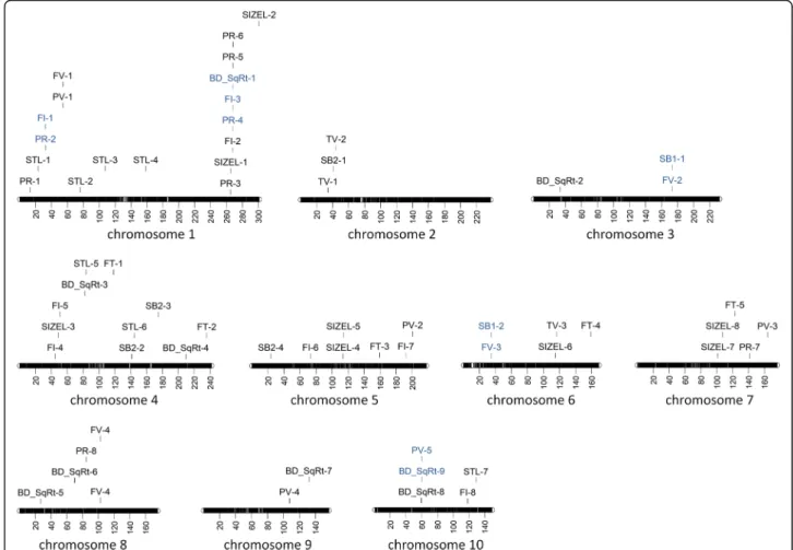 Fig. 4 Chromosomal regions identified by genome-wide association for 11 quality traits measured in 132 maize inbred lines