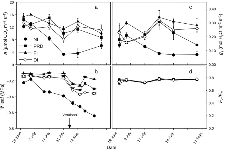 Fig. 1. Seasonal trends of (a) photosynthesis (A), (b) pre-dawn water potential (Ψ L ), (c) stomatal conductance (g s ) and (d) efficiency of excitation capture by open PSII in dark-adapted leaves (F v /F m )