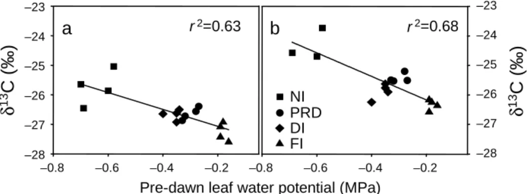 Fig. 5. Relationship between pre-dawn leaf water potential recorded at the end of August and δ 13 C measured in leaves (a) and grape berries (b) at harvest in September