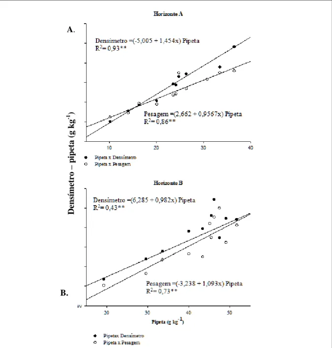 Figura  1  -  Correlação  entre  os  teores  de  argila  obtidos  pelos  métodos  do  densímetro 
