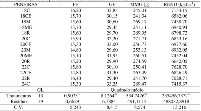 Tabela 2 -  Resumo  da  análise  da  variância  e comparação  de médias  para  o  número  de fileiras  por  espiga  (FE),  grãos  por  fileira  (GF),  massa  de  mil  grãos  (MMG)  e  rendimento  médio  da  cultura (REND), em função de diferentes tamanhos 