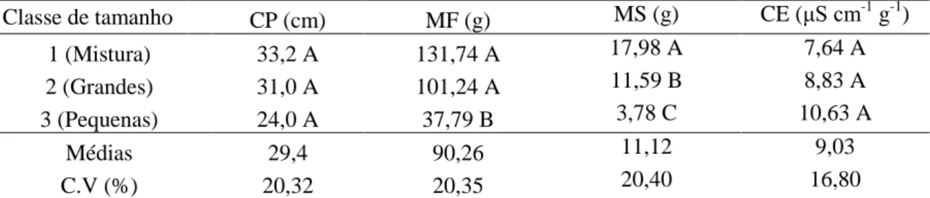 Tabela  4  -  Comprimento  de  plântulas  (CP),  massa  fresca  e  seca  (MF  e  MS)  de  plântulas  e  condutividade elétrica (CE) de sementes de feijão, cultivar Manteigão Vermelho, em função do  tamanho das sementes