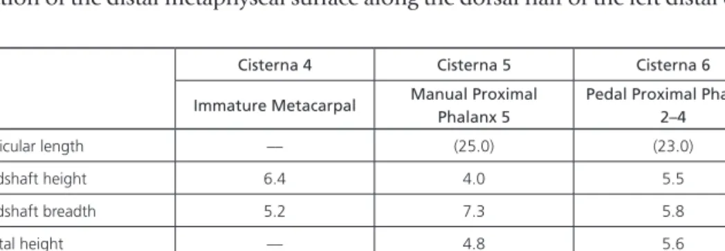 Table 6 – Osteometrics of the manual and pedal remains. Measurements are in millimeters.