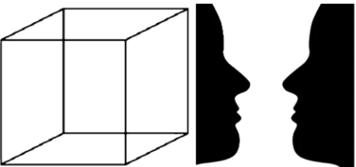 Fig. 1 Reversible figures which can be perceived as different images depending on the viewer’s perspective