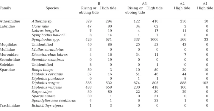Table 1. Total number of fish of each pelagic and bentho-pelagic species observed on each section (B: subtidal area; A: intertidal area, subdivided into sub-sections 1, 2 and 3) per tidal phase (Symphodus spp