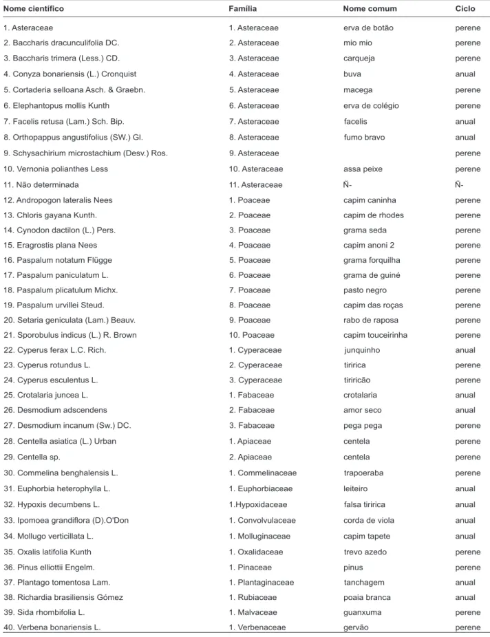 Tabela 3 - Nome científico, família em ordem decrescente por número de espécies, nome comum e ciclo das espécies espontâneas encontradas na área experimental antes  da aplicação dos tratamentos: Maquiné/RS, 16 de março/2005.