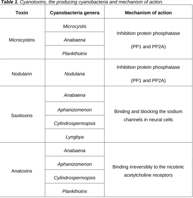 Table  1  shows  the  main  cyanotoxins,  the  producing  cyanobacteria  and  their  mechanism of action