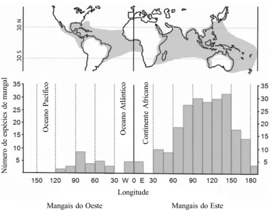 Figura 3-1 Distribuição global e espécies de plantas associadas ao mangal (adaptado de Kuenzer et al
