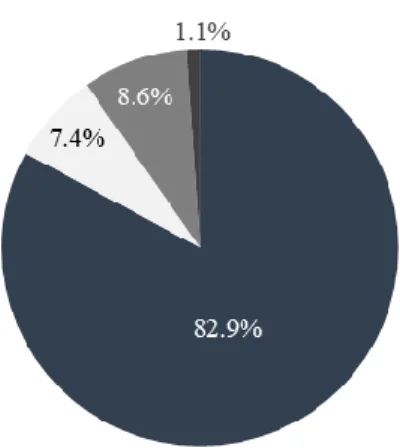 Figure 5.4 - BdP defined benefit pension fund asset allocation by asset class (2017) 
