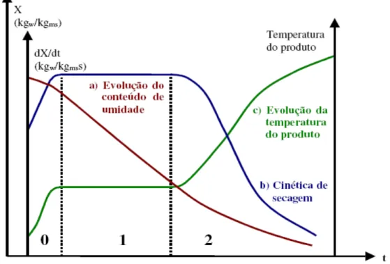 Figura 12 - Curva de secagem (Adaptado de Park et al., 2007). 