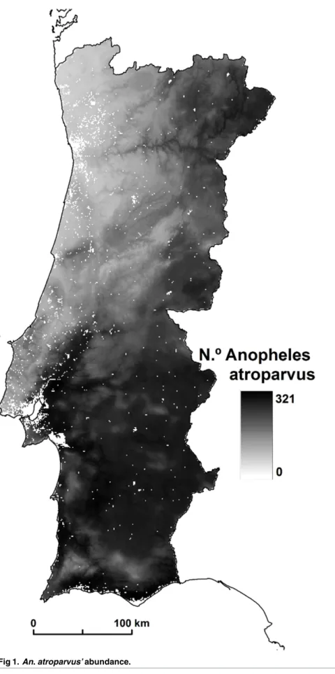 Fig 1. An. atroparvus’ abundance.
