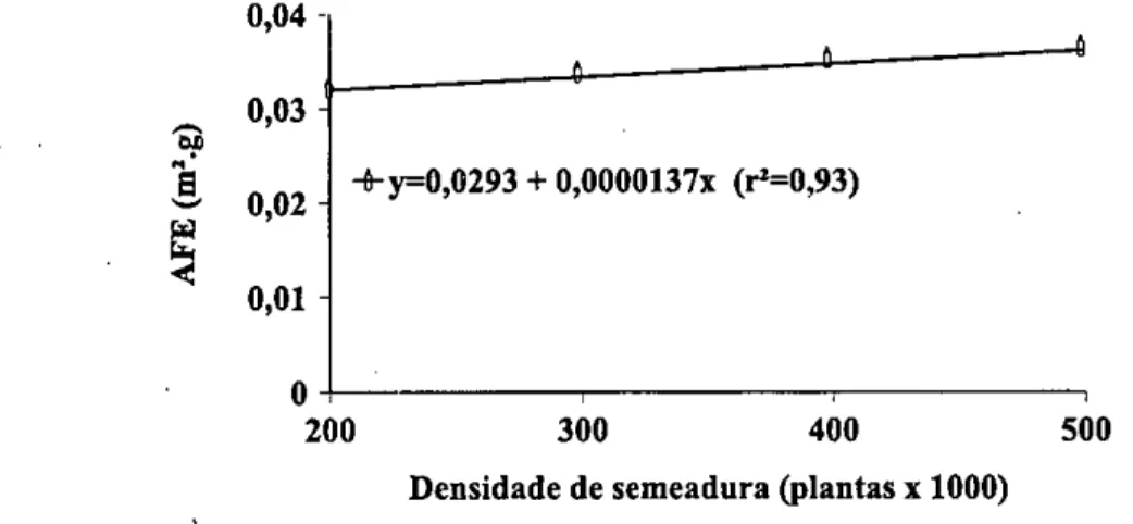Figura 12. Efeito da densidade de semeadura sobre a área foliar específica (AFE) do cultivar traí (tipo I), à 5% de probabilidade  de erro