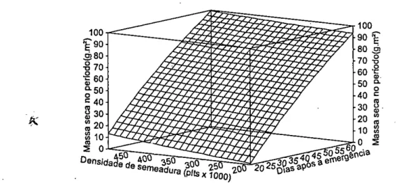 Figura  1. Efeito da densidade de semeadura sobre a matéria seca (g m') do cultivar Irai (tipo I), à 5% de probabilidade de erro