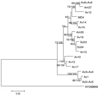 Fig. 1. Neighbor-joining tree constructed from HKY+I+G distances with ti/tv D 2.9294,  i D 0, and  D 0.3877