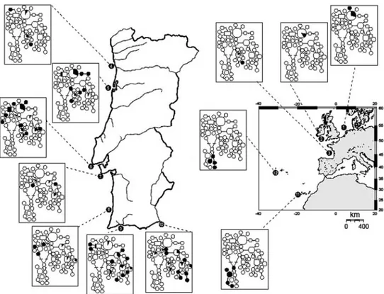 Fig. 1 Location of the 12 sam- sam-pling sites included in this study: 