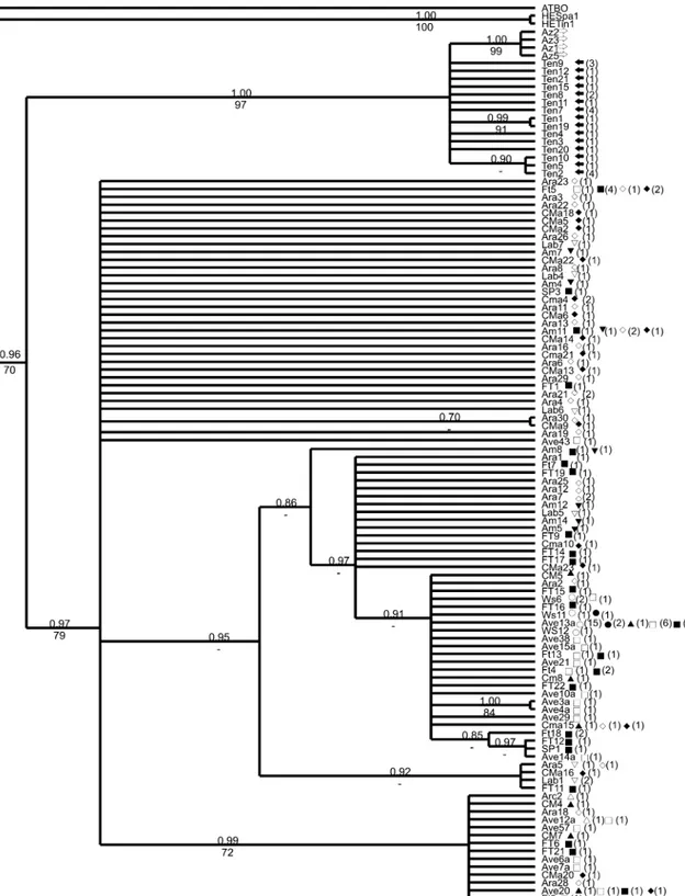 Fig. 2 Phylogenetic relationships of Atherina presbyter for the mitochondrial control region