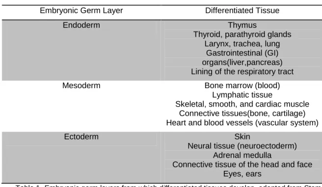 Table 1 -Embryonic germ layers from which differentiated tissues develop, adapted from Stem  Cells: Scientific Progress and Future Research Directions [17]