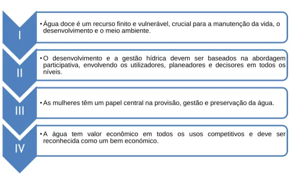 Figura 8 Princípios da Conferência Internacional sobre a Água e Meio Ambiente 