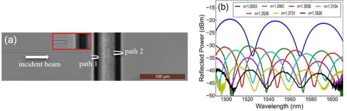 Figure 4: (a)  Top-view image of the Fabry-Pérot interferometer. (b) Measured  spectra of an interferometer with the waveguide written at 75 nJ and 50 µm/s.