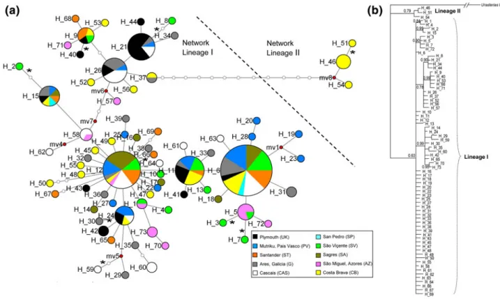 Fig. 2 a Median-joining haplotype network for Marthasterias gla- gla-cialis from COI. Area of the circles is proportional to the number of individuals found for each haplotype