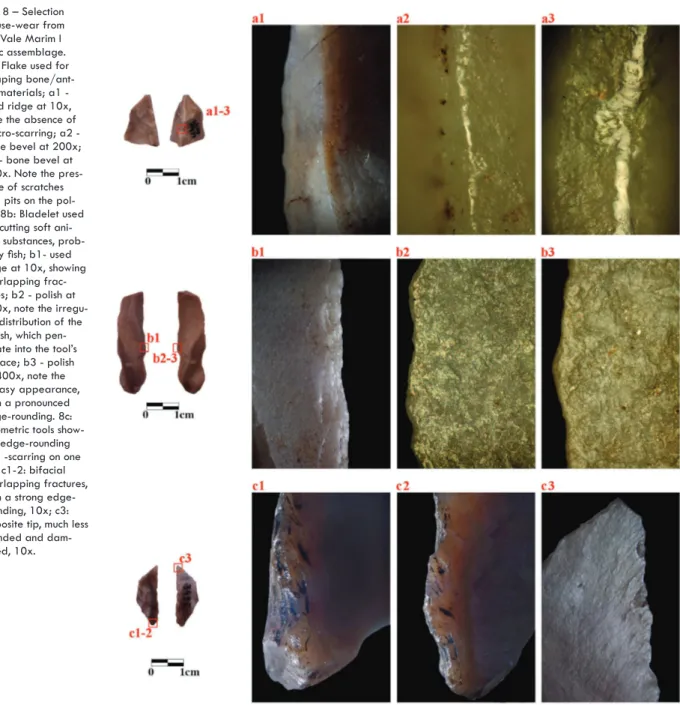 Fig. 8 – Selection  of use-wear from  the Vale Marim I  lithic assemblage. 