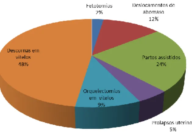 Figura 4 – Distribuição dos principais casos clínicos registados durante o estágio na Diessen