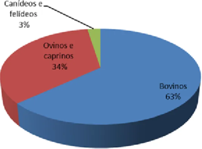 Figura 5 – Distribuição das atividades desenvolvidas, por espécies, durante o estágio no  C.S.A