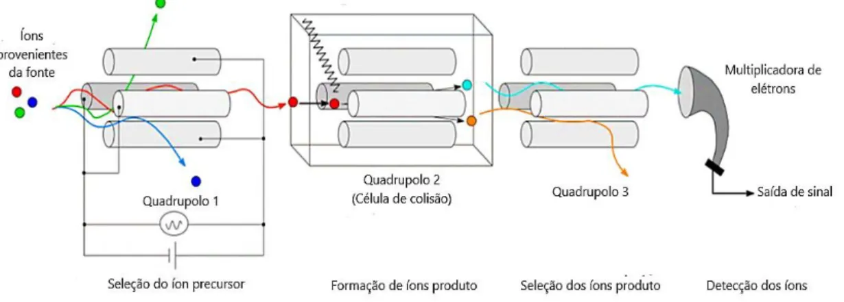 Figura 8. Esquematização geral do QqQ (Adapatada, Scherf-Clavel, 2016) 