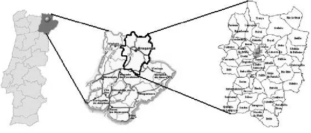 Figura 2 - Localização da  cidade em Portugal 