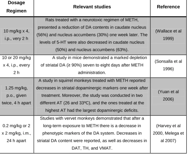 Table 5 – Relevant studies related to the neurotoxicity of METH to laboratory animals
