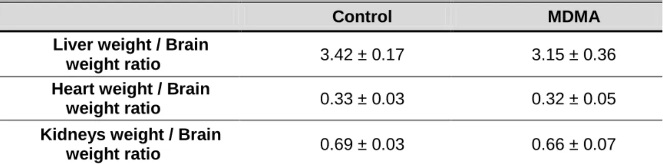 Table 6 – Liver weight / brain weight ratio, heart weight / brain weight ratio, and kidney weight / brain weight  ratio of control and MDMA-treated rats