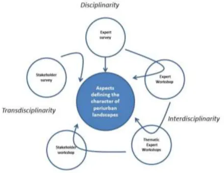 Figure 1. Workflow: disciplinar, interdisciplinar and transdiciplinar 