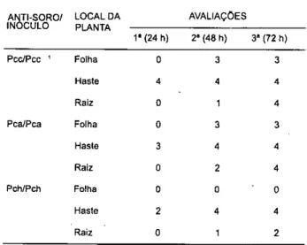 Tabela 1. Número de amostras positivas por teste  imunológico de uni total de quatro plantas de  batata inoculadas com Pectobacterium spp