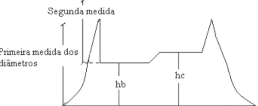 FIGURE 2: Projection of the measurements of the diameters at stump height and the position of both the cut measurement height (hb) and the diameters at stump height (hc).