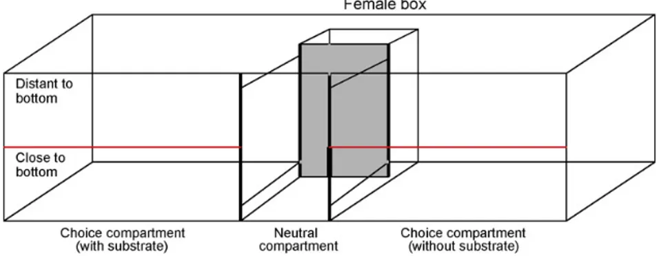 Fig. 1. Representation of the experimental set-up.