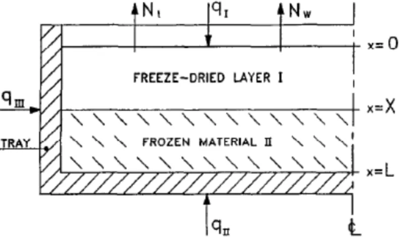Figure 2.1: Schematic of a product in a tray during primary drying ( variable X denotes the position of the sublimation interface front between the freeze-dried layer and the frozen layer) [63] .